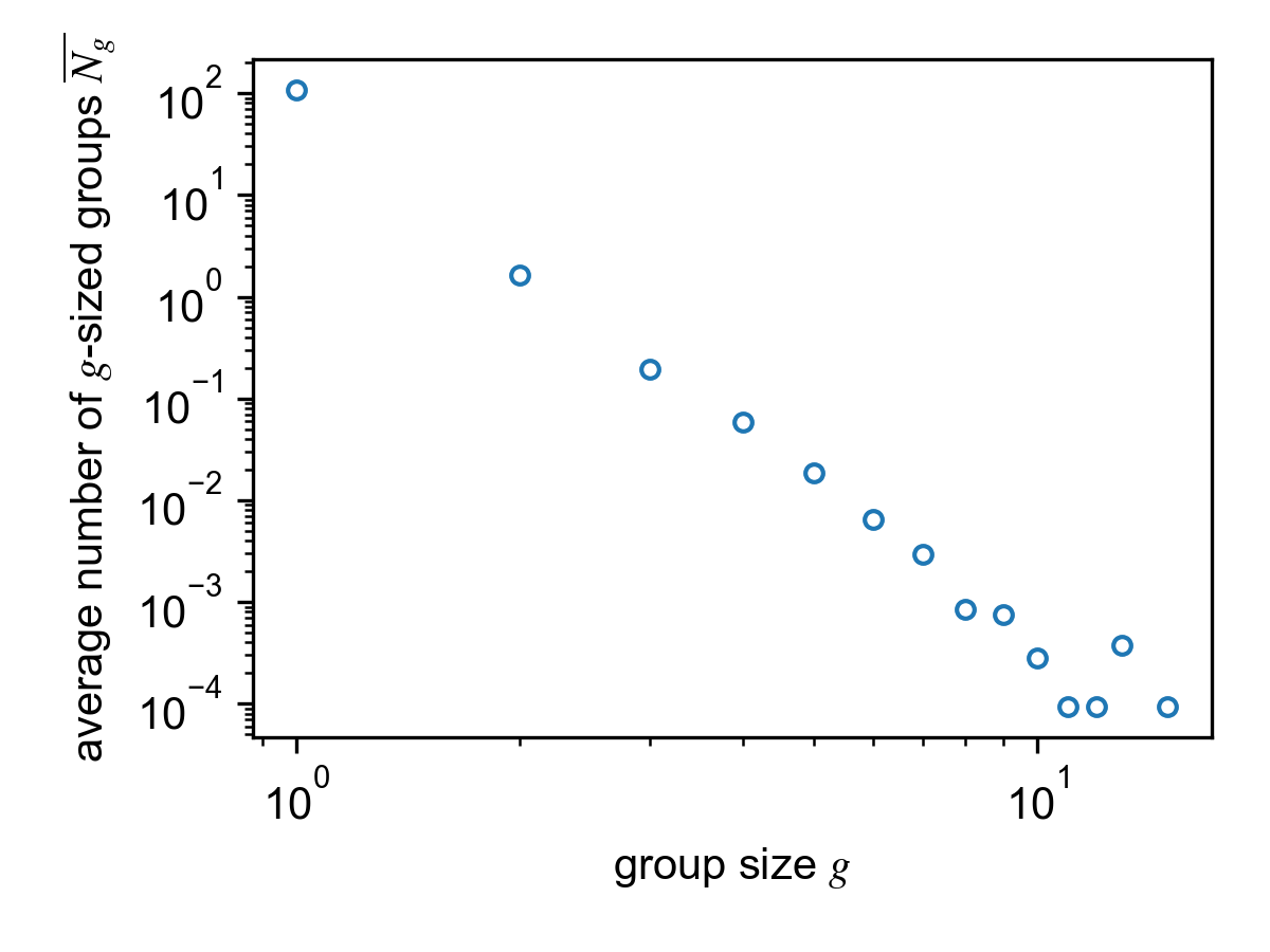 group size distribution